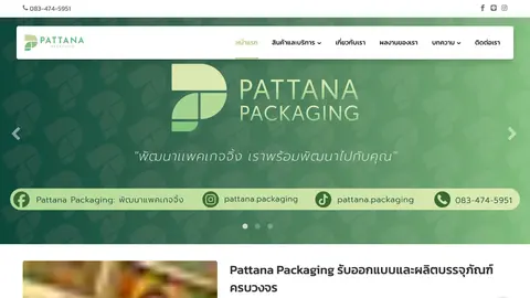หน้าแรกเว็บไซต์ pattanapackaging.com
